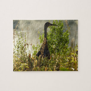 Zandkraanvogel bij Moose Ponds in Grand Teton Legpuzzel