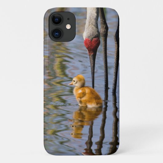 Zandkraanvogel Case-Mate iPhone Case (Achterkant)