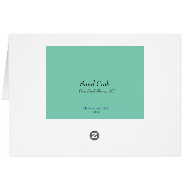 Zandkrab (Achterkant Horizontaal)