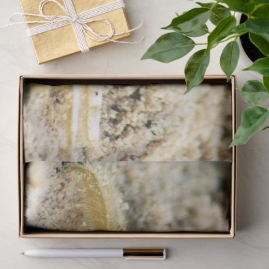 Zandkrab, Curaçao, Caraïbische eilanden, Foto Tissuepapier (Geschenk)