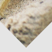 Zandkrab, Curaçao, Caraïbische eilanden, Foto Tissuepapier (Detail)