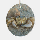 Zandkrab Keramisch Ornament (Links)