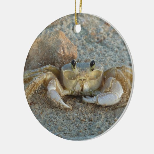 Zandkrab Keramisch Ornament (Links)
