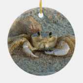 Zandkrab Keramisch Ornament (Achterkant)