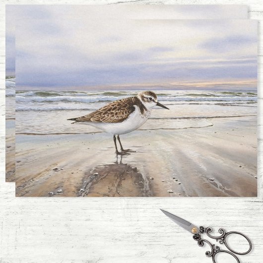 Zandloper op het strand Bird Art Decoupage Tissuepapier