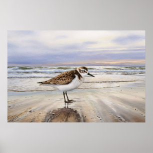 Zandloper op het strand Bird Art Poster