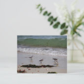 Zandpieren Briefkaart (Staand voorkant)