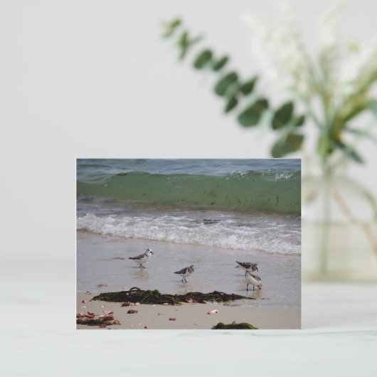 Zandpieren Briefkaart (Staand voorkant)