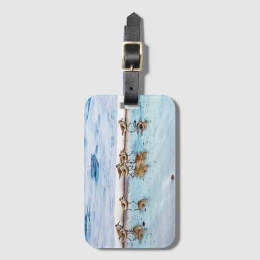 Zandpiers die langs de strand lopen bagagelabel (Voorkant (verticaal))