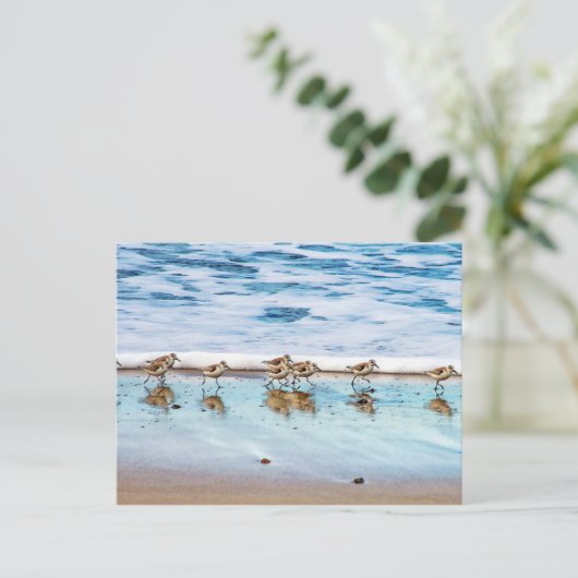 Zandpiers die langs de strand lopen briefkaart (Staand voorkant)