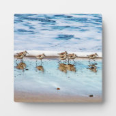 Zandpiers die langs de strand lopen fotoplaat (Voorkant)