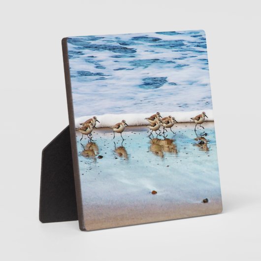 Zandpiers die langs de strand lopen fotoplaat (Voorkant)