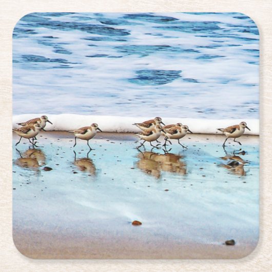 Zandpiers die langs de strand lopen kartonnen onderzetters (Voorkant)