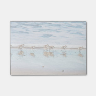 Zandpiers die langs de strand lopen post-it® notes