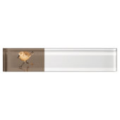 zandpijp naambordje (Voorkant)