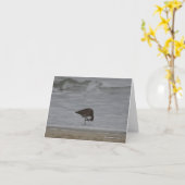 Zandpijpbogen Kaart (Gele Bloem)