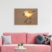 zandpijper canvas afdruk (Insitu (Woonkamer))