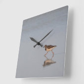 Zandpiper loopt langs het strand vierkante klok (Hoek)