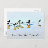 Zandpipers op Hilton Head Beach Briefkaart (Voorkant / Achterkant)