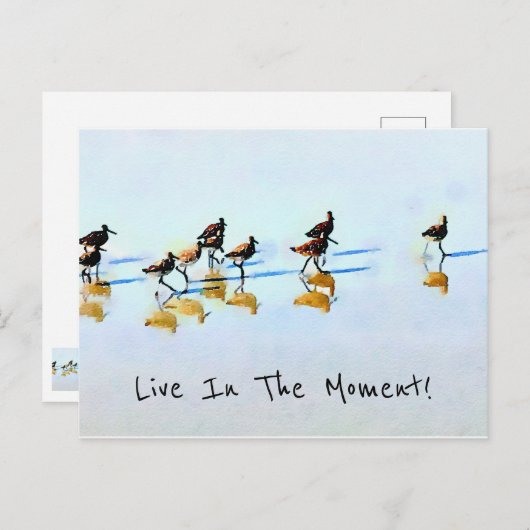 Zandpipers op Hilton Head Beach Briefkaart (Voorkant / Achterkant)