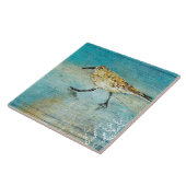 Zandpiperstrand Shorebird Weathered Artwork Tegeltje (Zijkant)