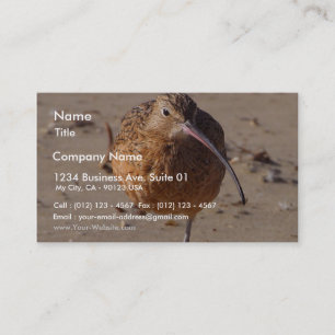 Zandpipervogel op strand visitekaartje