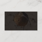 Zandpipervogel op strand visitekaartje (Achterkant)