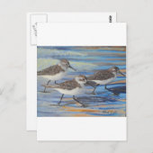 Zandpuntjes Briefkaart (Voorkant / Achterkant)