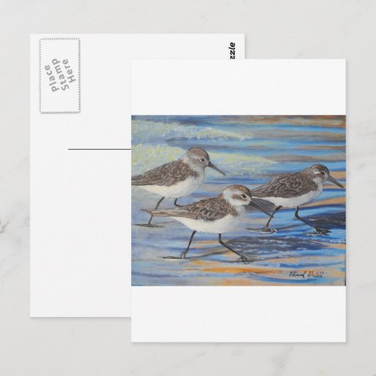 Zandpuntjes Briefkaart (Voorkant / Achterkant)