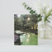 zandpuntspoor briefkaart (Staand voorkant)