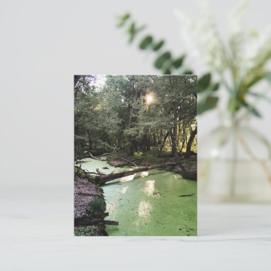 zandpuntspoor briefkaart (Staand voorkant)