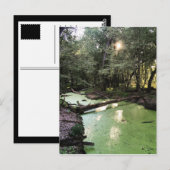 zandpuntspoor briefkaart (Voorkant / Achterkant)