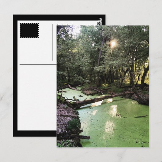 zandpuntspoor briefkaart (Voorkant / Achterkant)