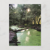 zandpuntspoor briefkaart (Voorkant)