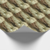 Zandreuzel Cadeaupapier (Hoek)