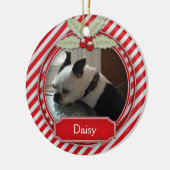 Zandrietstrip voor gezelschapsdieren keramisch ornament (Links)