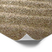 Zandrimpelpatronen Poster (Hoek)