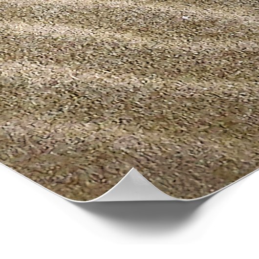 Zandrimpelpatronen Poster (Hoek)