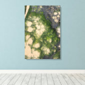 Zandsteen Rotsformatie met Smaragdgroene Mos Canvas Afdruk (Insitu (Houten vloer))