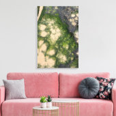 Zandsteen Rotsformatie met Smaragdgroene Mos Canvas Afdruk (Insitu (Woonkamer))