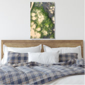 Zandsteen Rotsformatie met Smaragdgroene Mos Canvas Afdruk (Insitu (Slaapkamer))