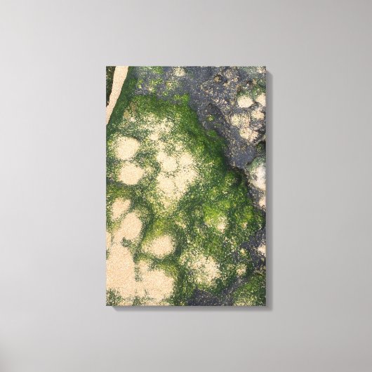 Zandsteen Rotsformatie met Smaragdgroene Mos Canvas Afdruk (Voorkant)