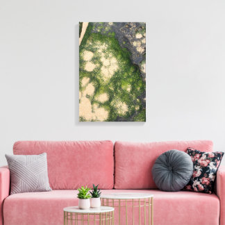 Zandsteen Rotsformatie met Smaragdgroene Mos Canvas Afdruk