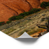 Zandsteen vinnen, Arches National Park, Utah Poster (Hoek)