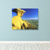 Zandsteenmonument in het Hell Creek-gebied nabij Canvas Afdruk (Insitu (Houten vloer))