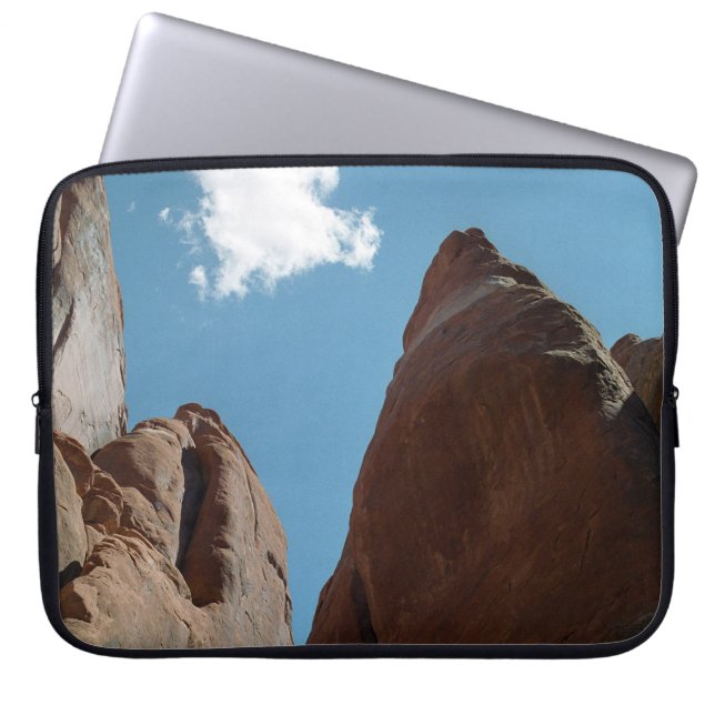 Zandsteenvinnen close-up laptop sleeve (Voorkant)