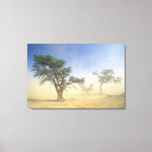 Zandstorm in Kalahariwoestijn, Kgalagadi Canvas Afdruk