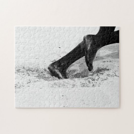zandstralen legpuzzel (Horizontaal)