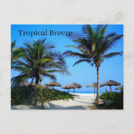 Zandstrand met palmbomen en uitzicht op de oceaan  briefkaart