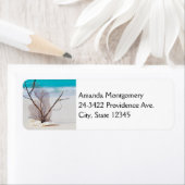 Zandstrand met witte schelpen etiket (Insitu)